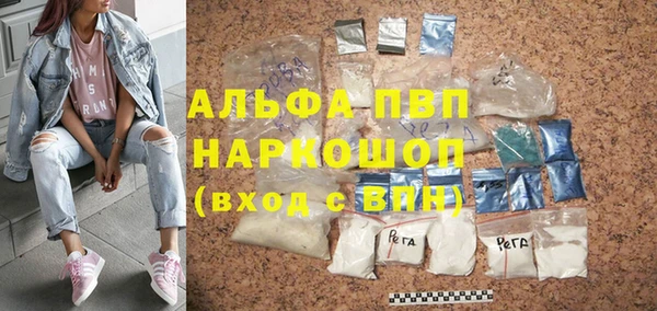 шишки Надым