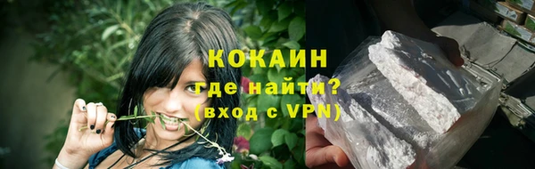 ПСИЛОЦИБИНОВЫЕ ГРИБЫ Михайлов