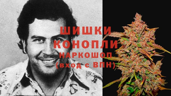 ПСИЛОЦИБИНОВЫЕ ГРИБЫ Михайлов