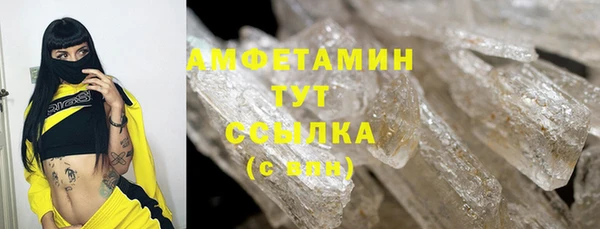 ПСИЛОЦИБИНОВЫЕ ГРИБЫ Михайлов