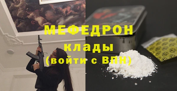 шишки Надым