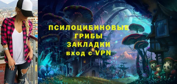 ПСИЛОЦИБИНОВЫЕ ГРИБЫ Михайлов