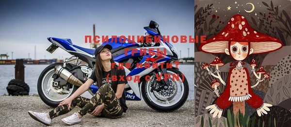 ПСИЛОЦИБИНОВЫЕ ГРИБЫ Михайлов
