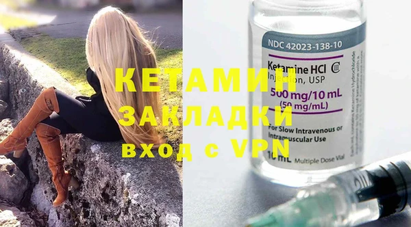 шишки Надым