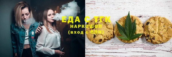 шишки Надым