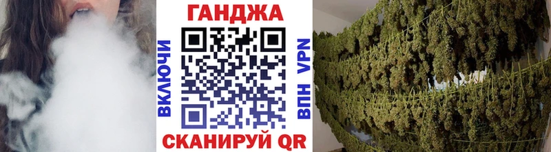 купить  сайты  Трубчевск  mega ссылка  Шишки марихуана планчик 